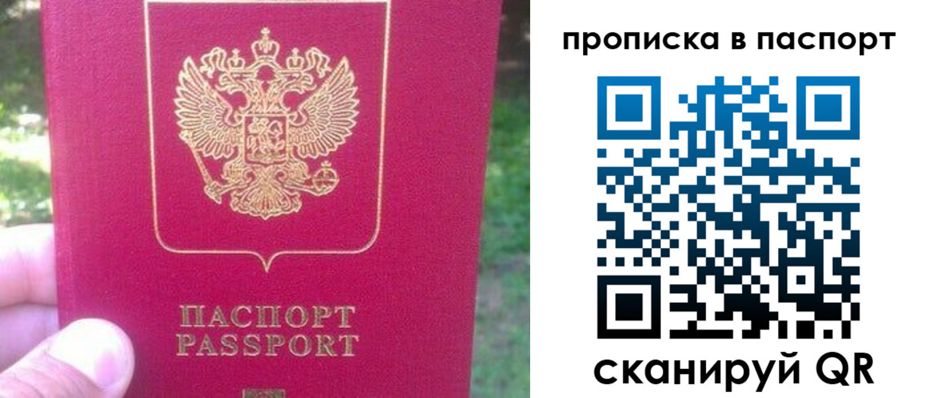 временная регистрация для всех в Сланцах